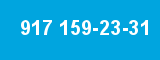 917 159-23-31